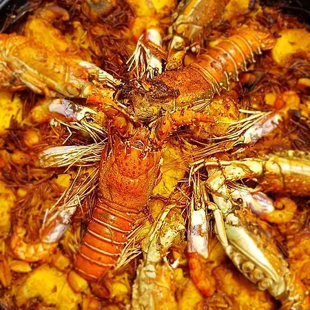 Castell Blanc 호텔