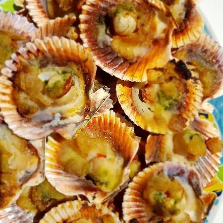 Castell Blanc 호텔 3*